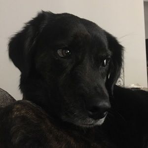 Meet your Posher, Kiley